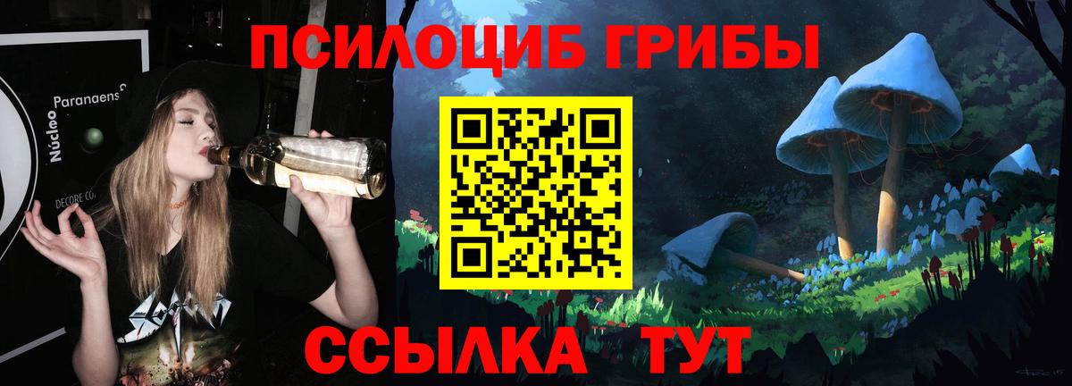 Галлюциногенные грибы MAGIC MUSHROOMS  Вход с VPN  Добрянка 